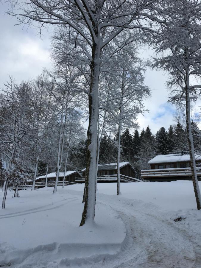 Le Voyageur Chalet Murringen