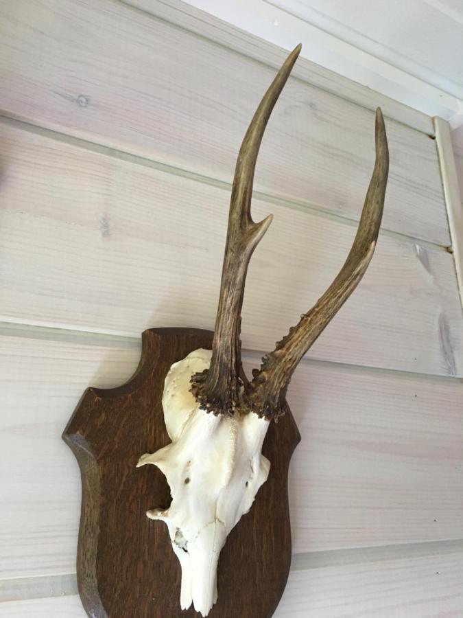 Le Voyageur Chalet Murringen